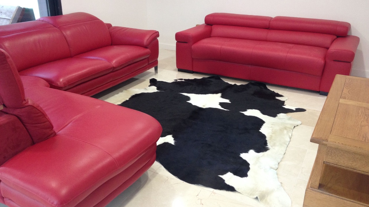 Photo of Others in Le Bourget-du-Lac