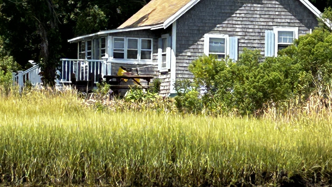 Photo of Others in Eastham