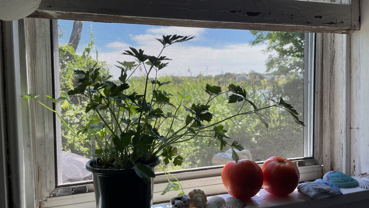 Photo of Others in Eastham