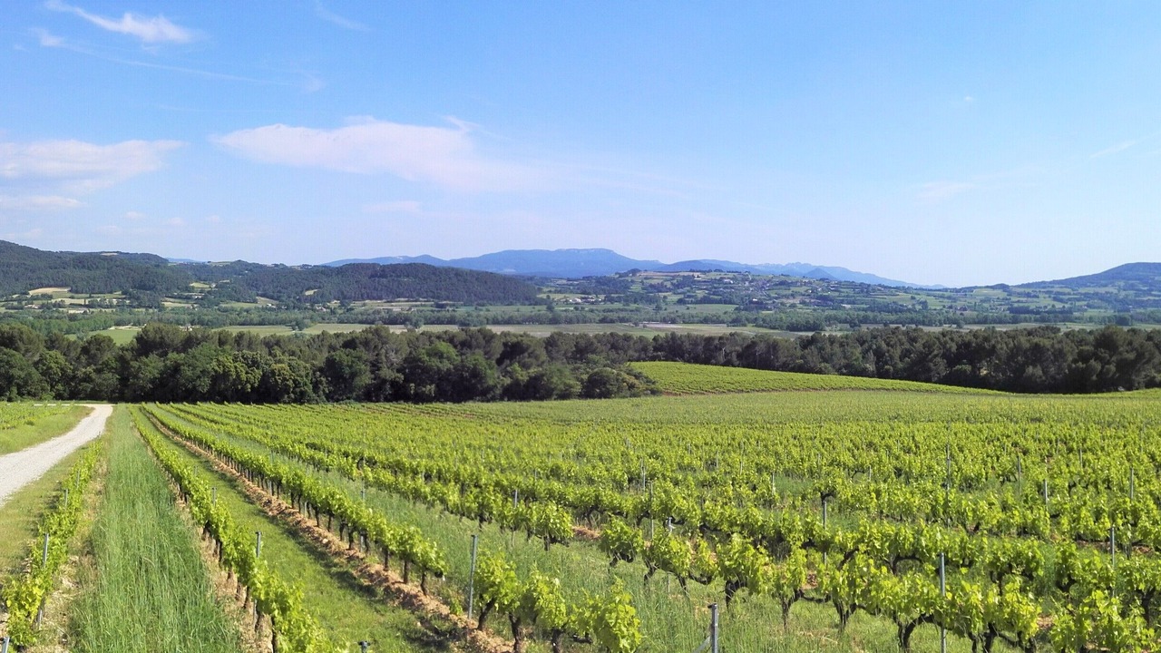 Photo of Outdoor in Vinsobres