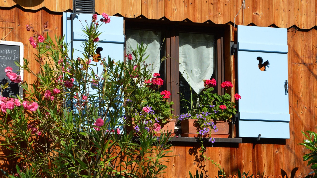 Photo of Outdoor in Ribeauville