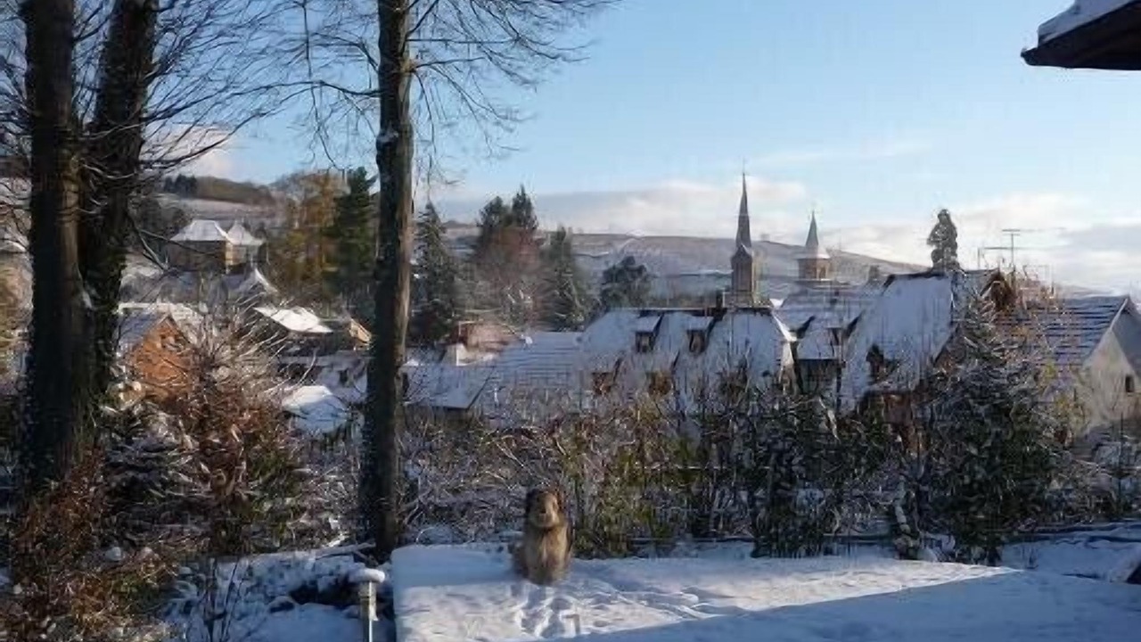 Photo of Others in Ribeauville