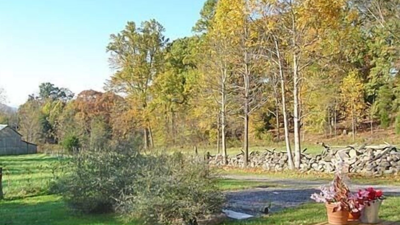 Photo of Others in Lexington