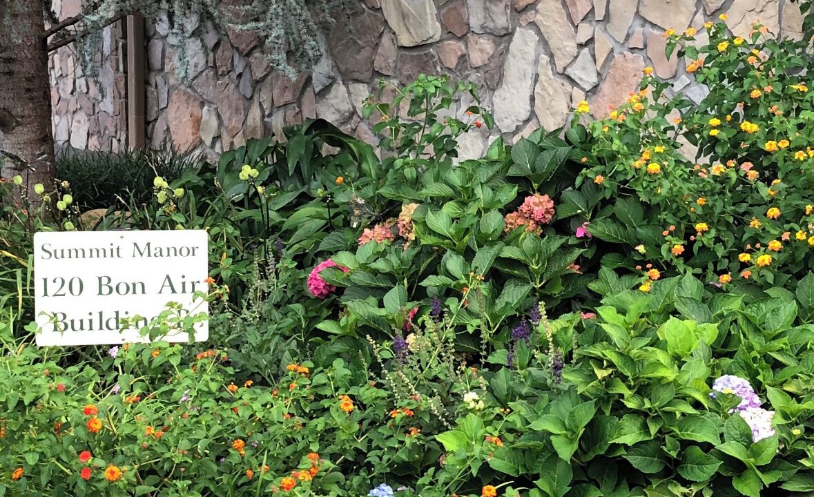 Photo of Outdoor in Gatlinburg
