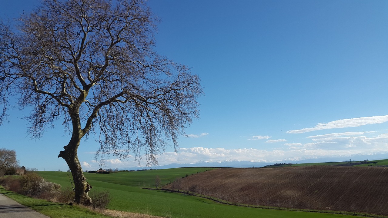 Photo of Outdoor in Gardouch