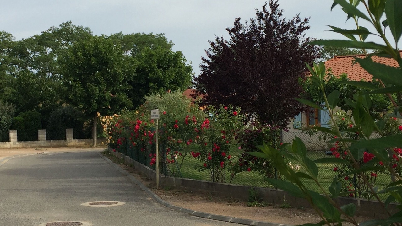Photo of Outdoor in Gardouch