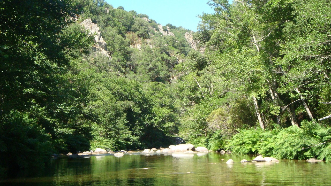 Photo of Outdoor in Olivese