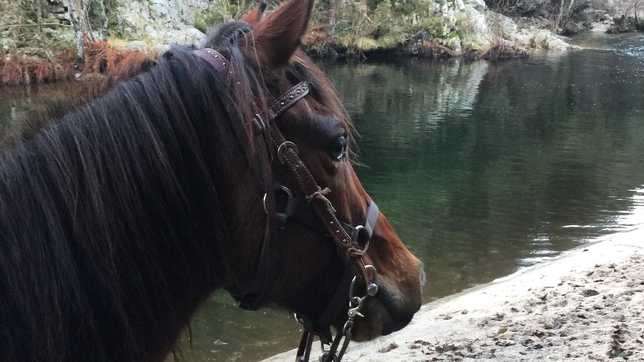 Photo of Others in Olivese