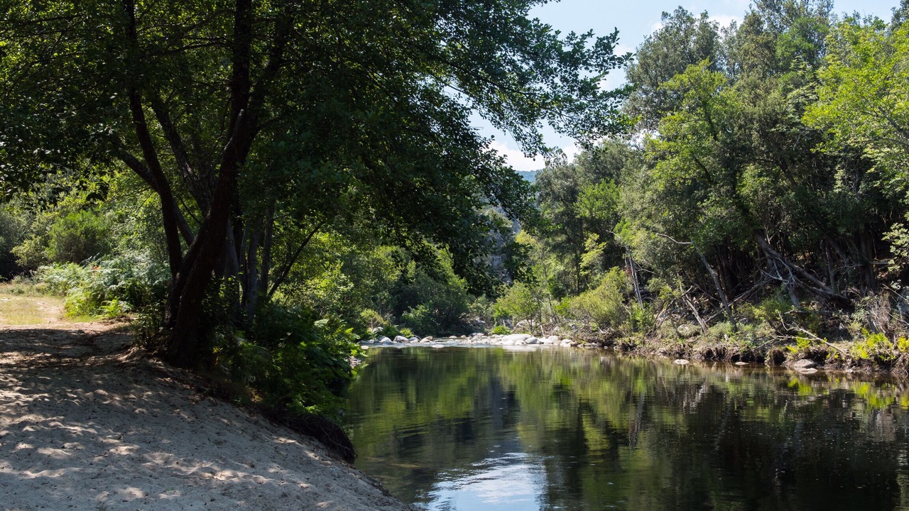 Photo of Others in Olivese