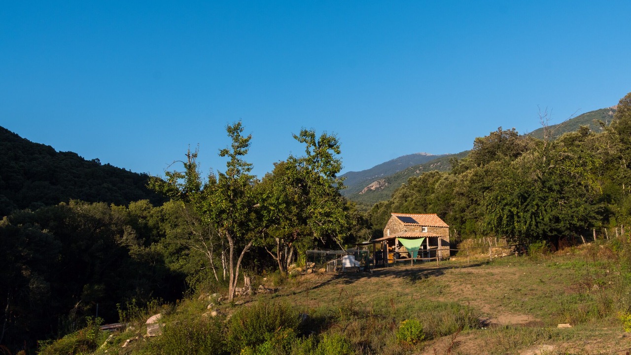 Photo of Outdoor in Olivese