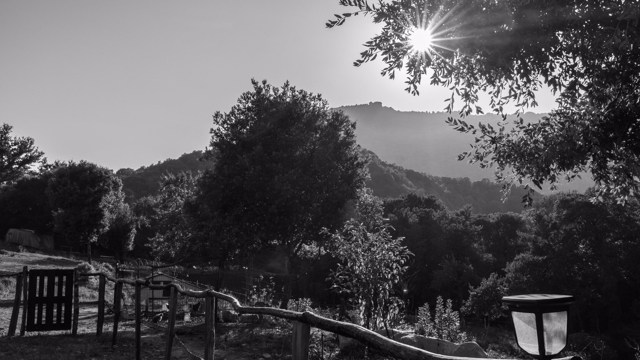 Photo of Outdoor in Olivese