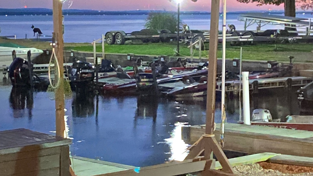 Photo of Others in North Bay