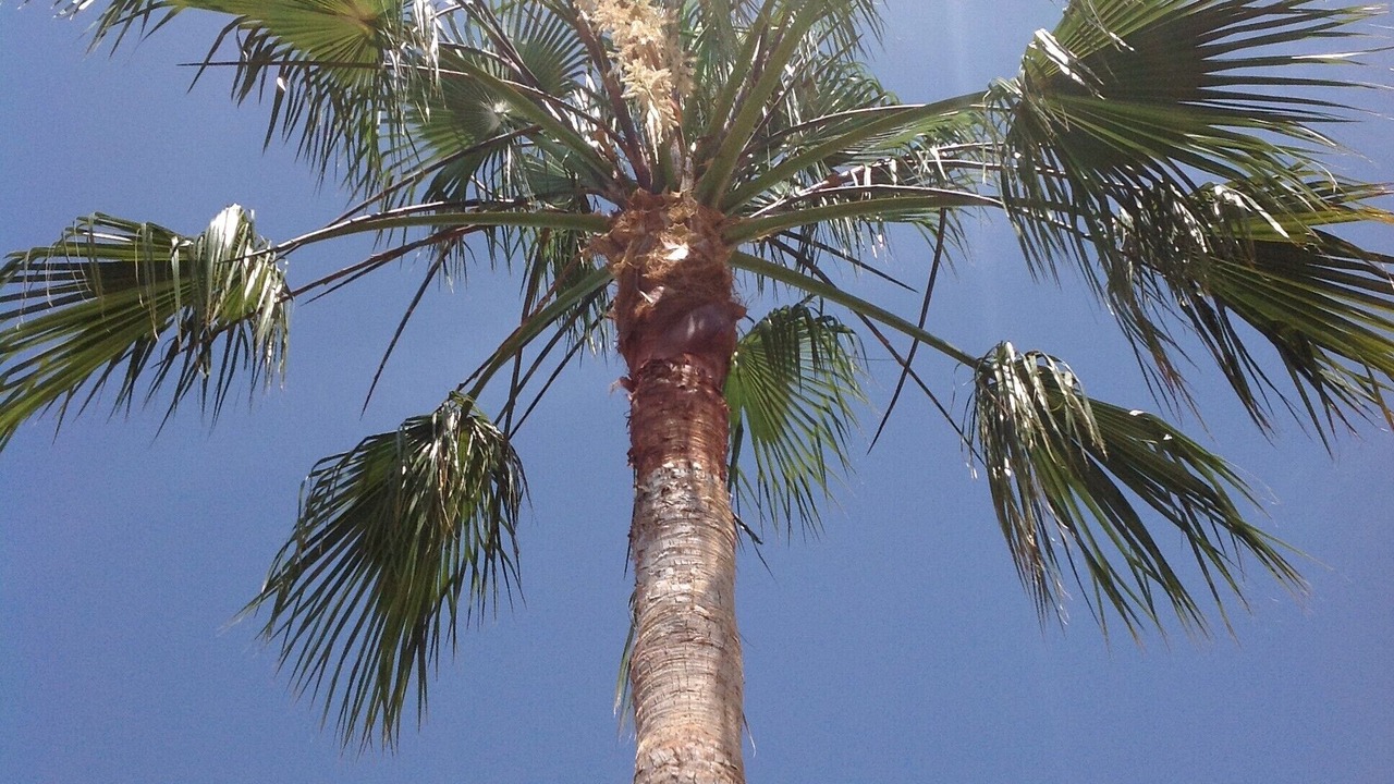 Photo of Outdoor in Nerja