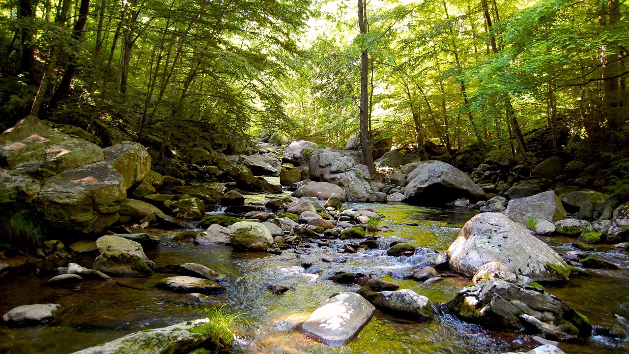 Photo of Outdoor in Tyro