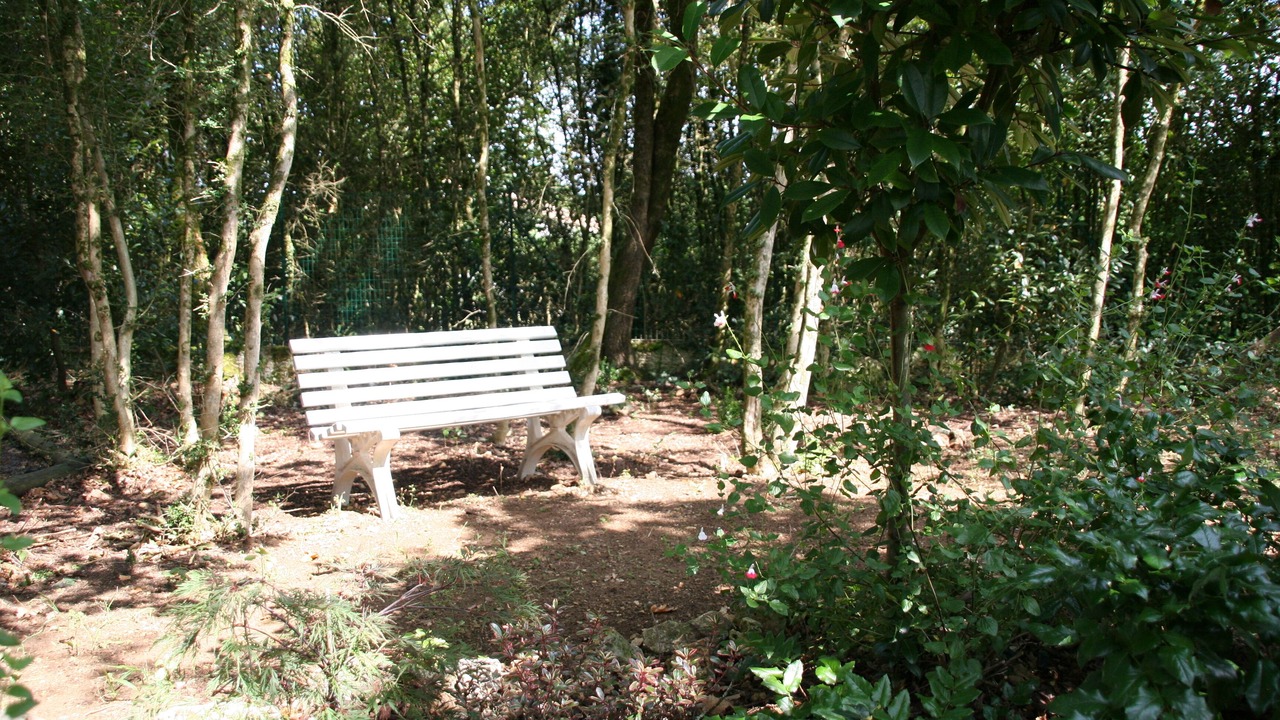 Photo of Outdoor in Puymoyen