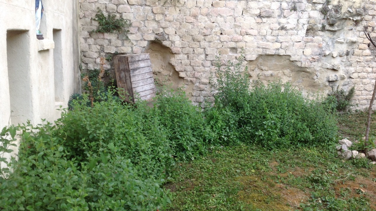 Photo of Outdoor in Soyons