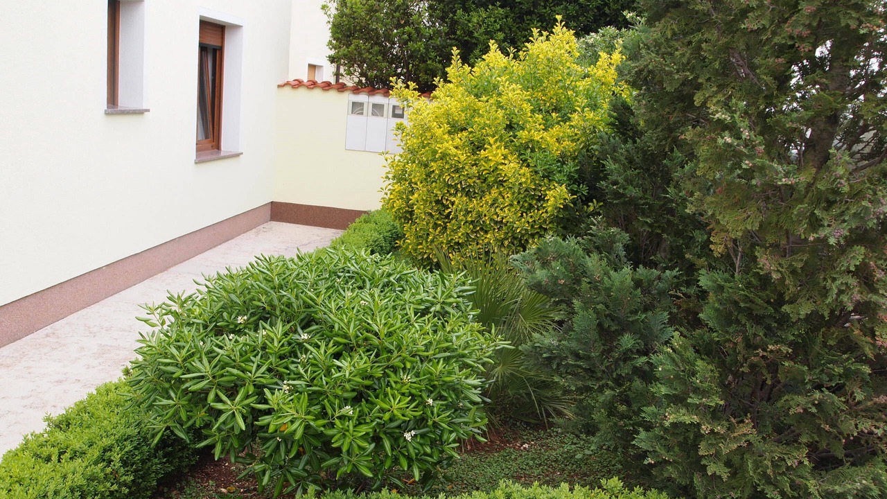 Photo of Outdoor in Crikvenica