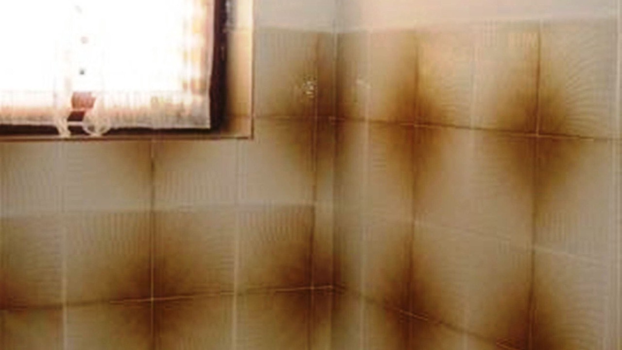 Photo of Bathroom in Island Hvar