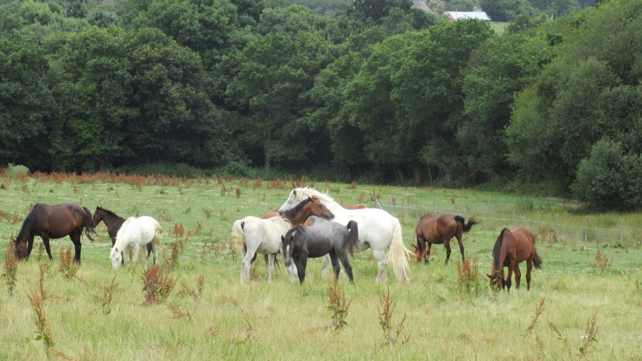 Photo of Others in Saint-Vran