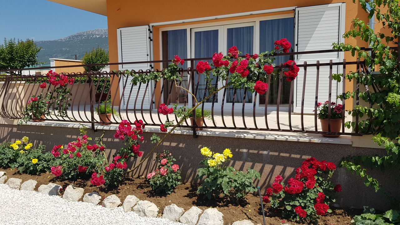 Photo of Outdoor in Kastel Kambelovac