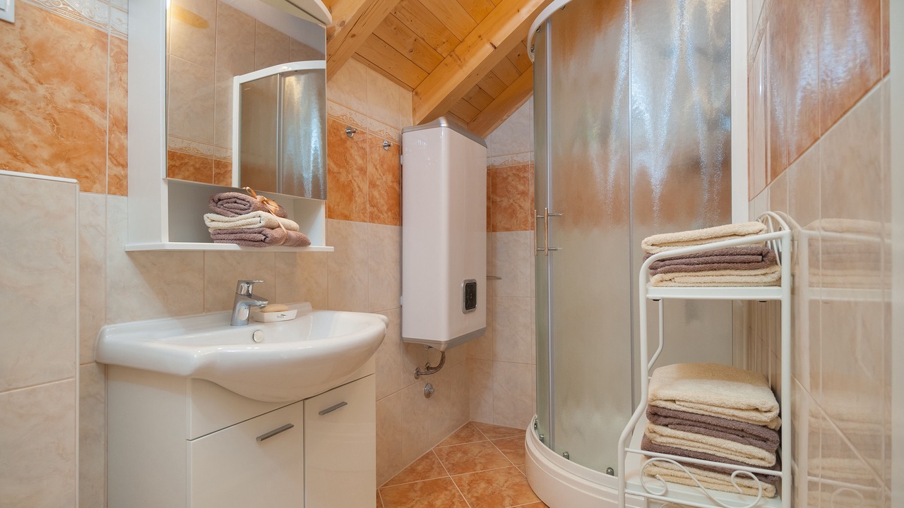 Photo of Bathroom in Donje Selo