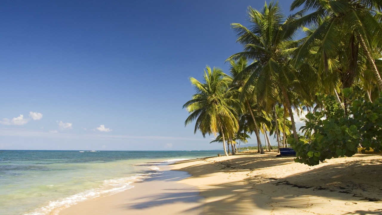 Photo of Others in Las Terrenas