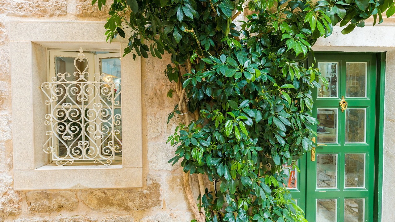 Photo of Others in Dubrovnik Old Town