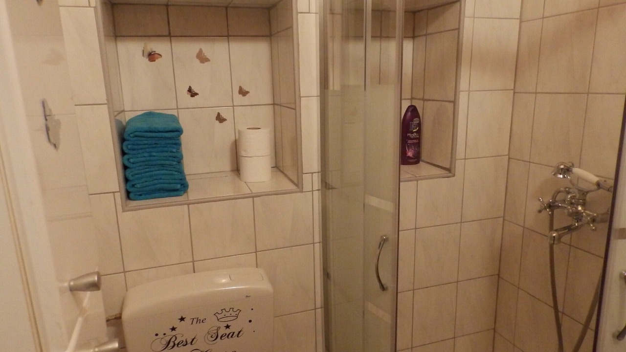 Photo of Bathroom in Donje Selo