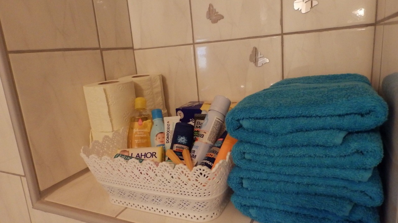 Photo of Bathroom in Donje Selo