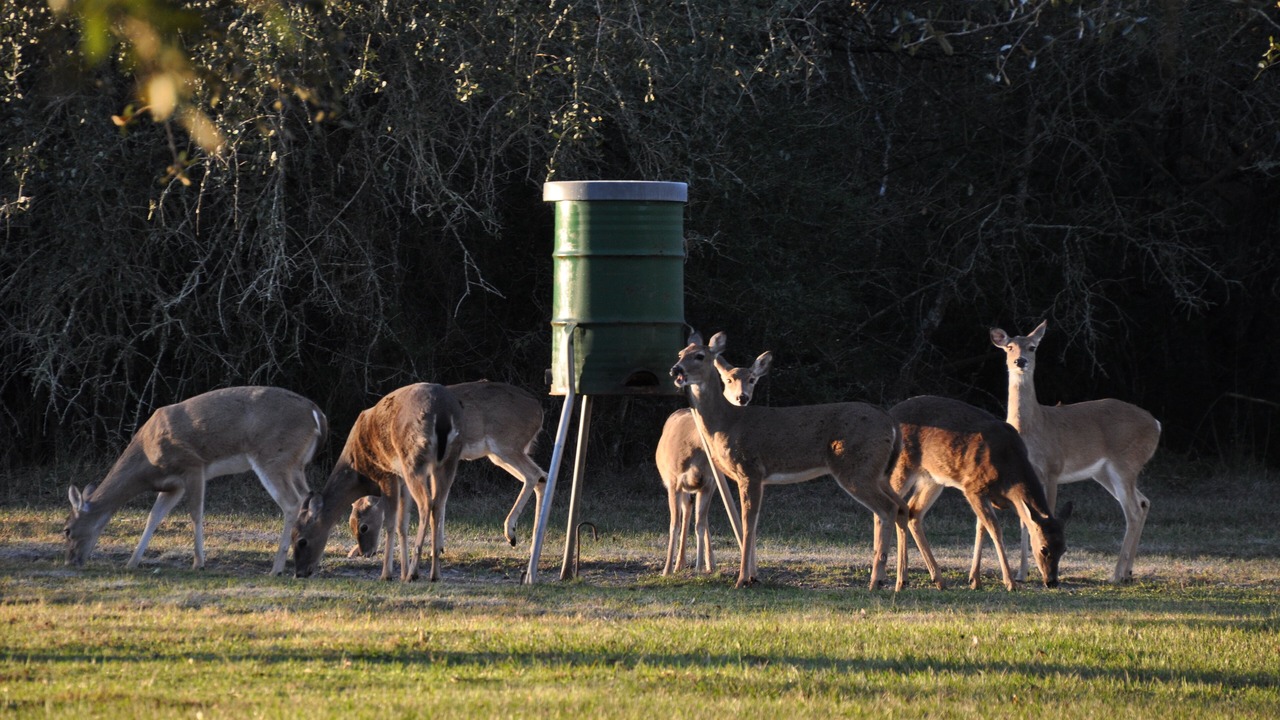 Photo of Outdoor in La Grange