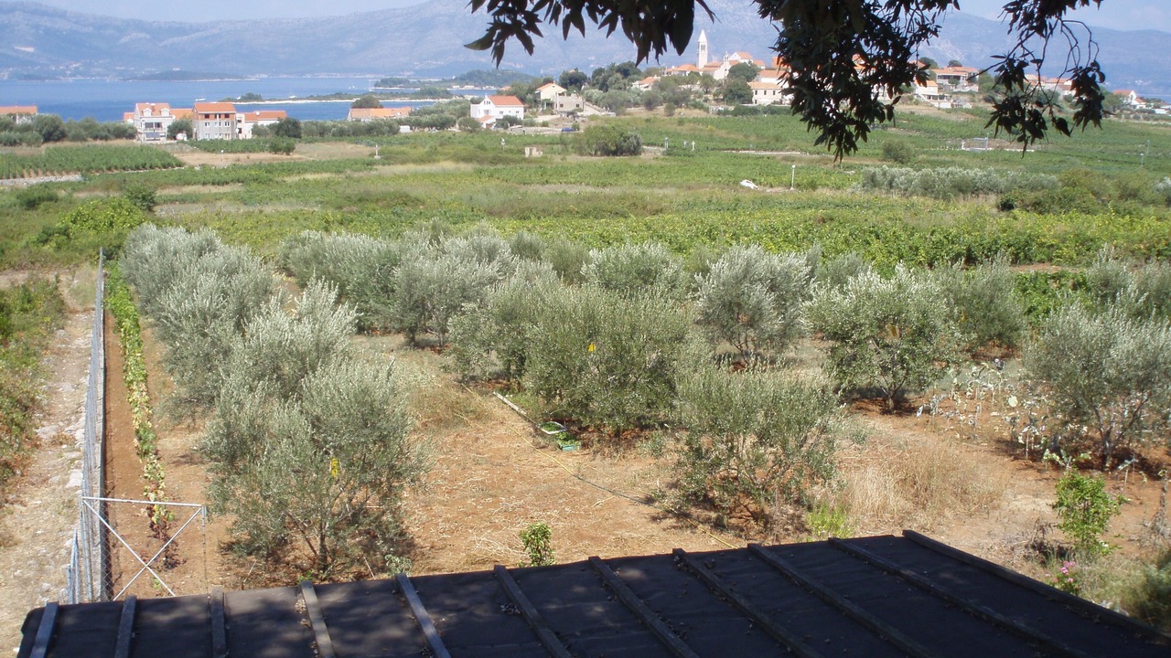 Photo of Others in Lumbarda