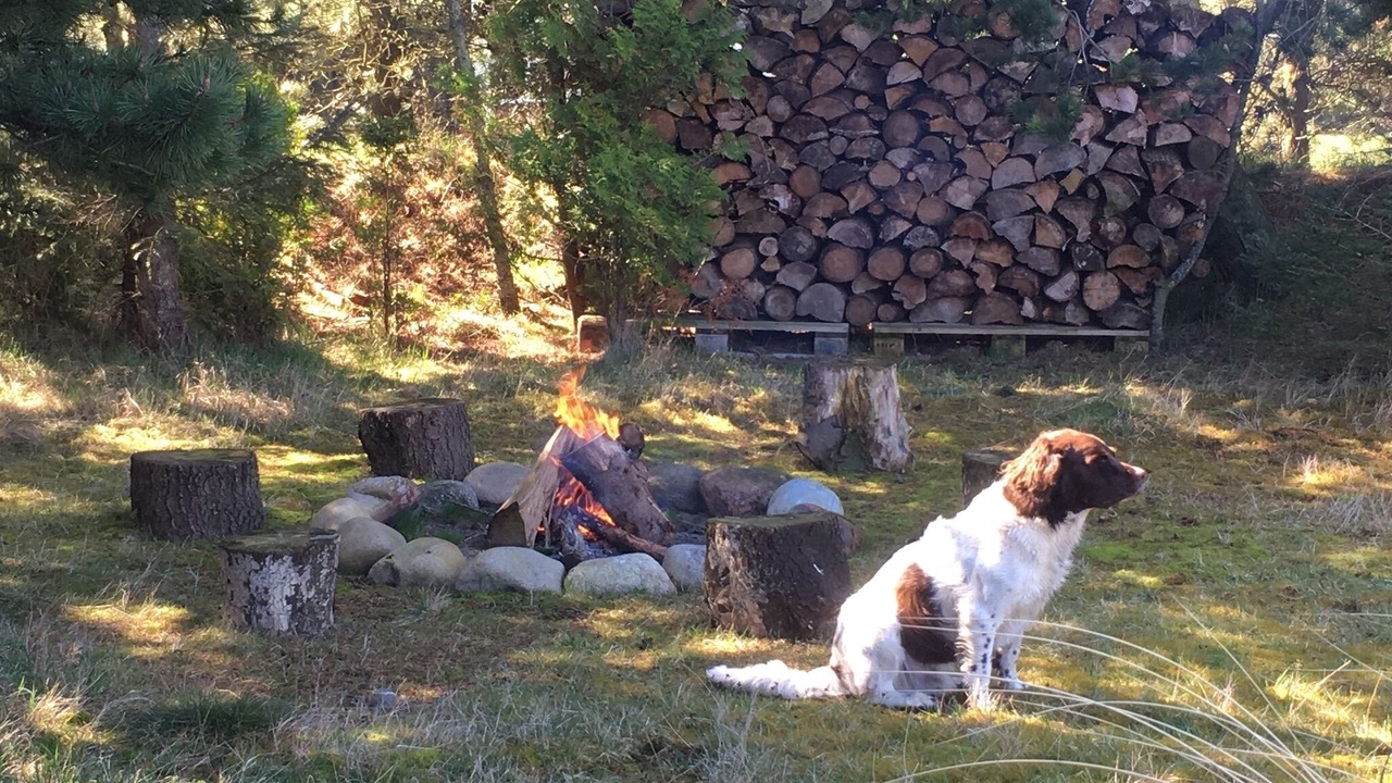 Photo of Outdoor in Rødhus