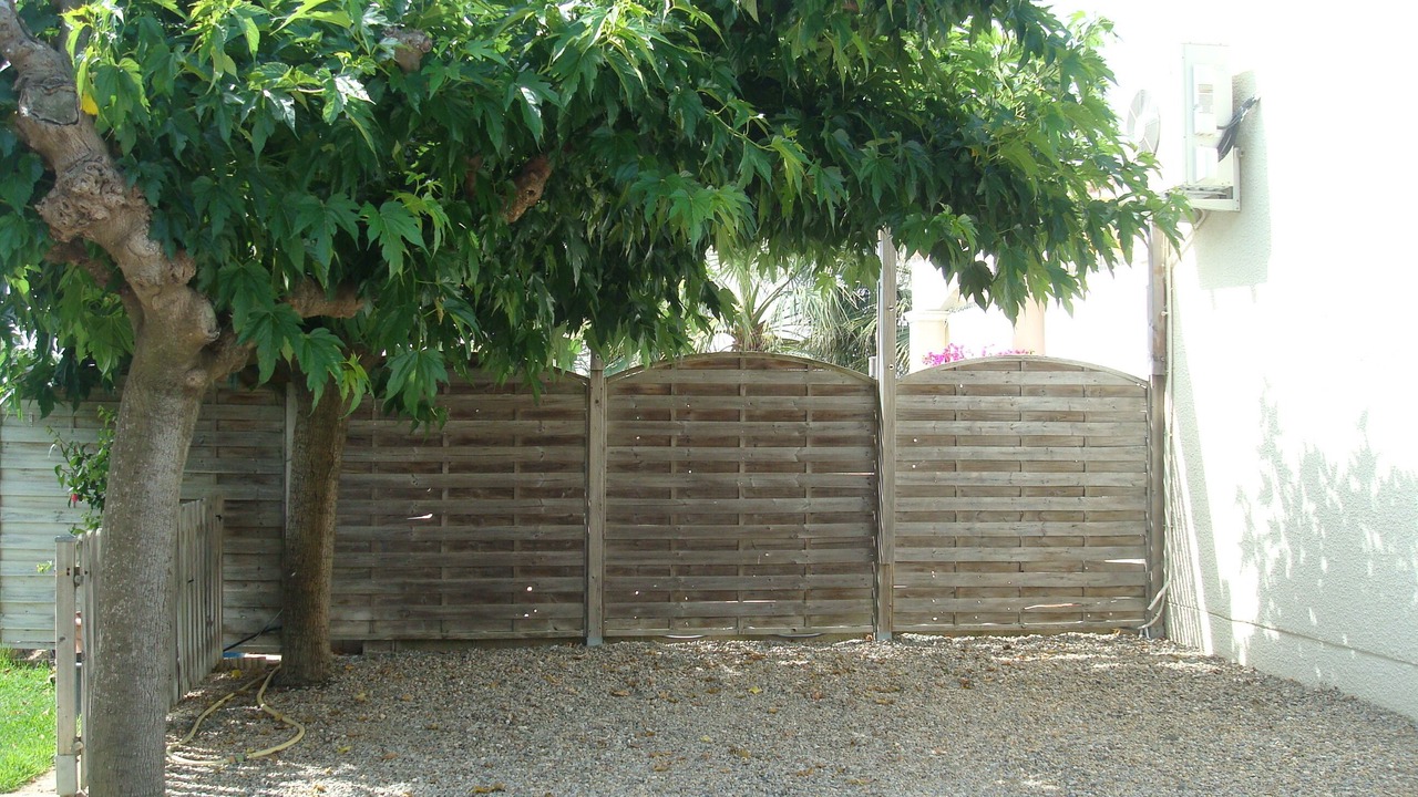 Photo of Outdoor in Cuxac-dʼAude