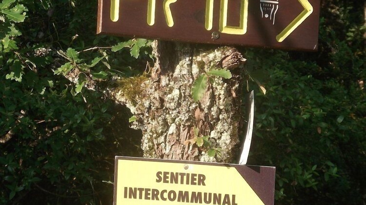 Photo of Outdoor in Cazals
