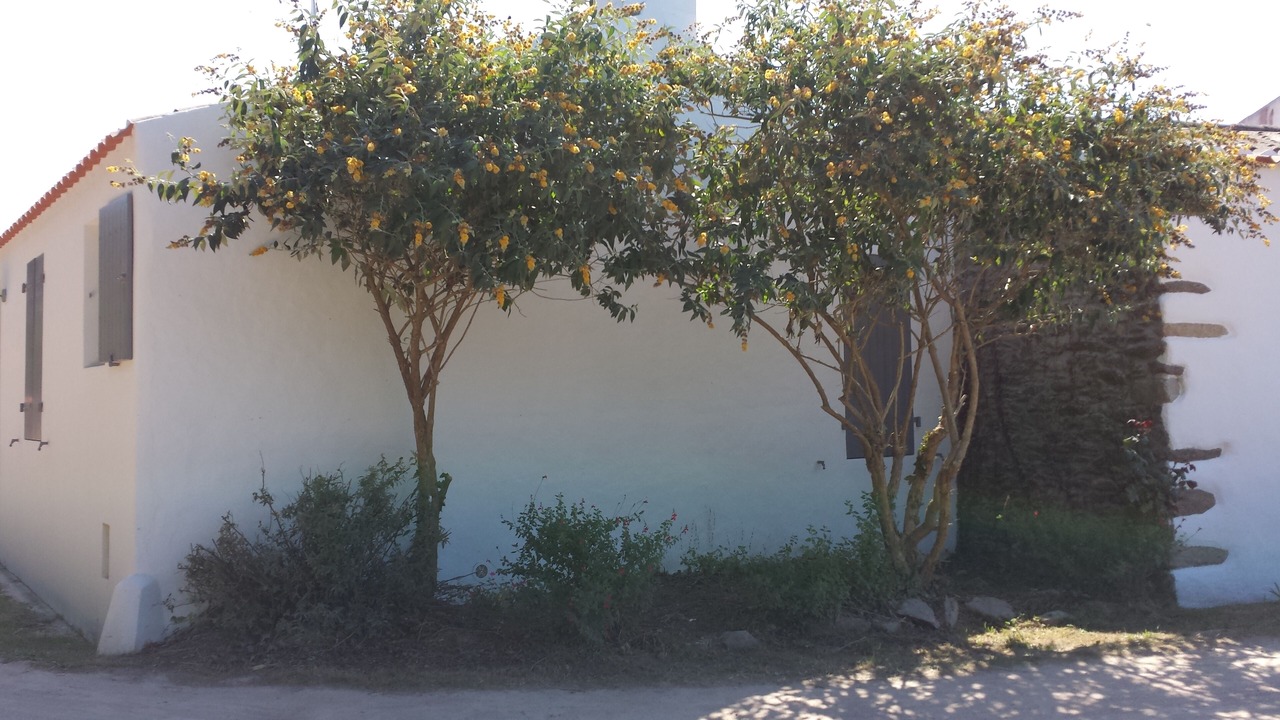 Photo of Outdoor in Ile d'Yeu