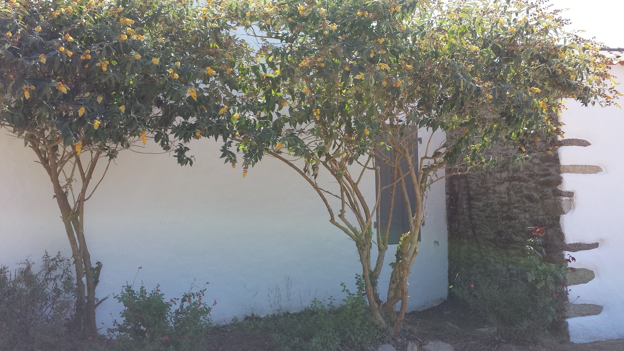 Photo of Outdoor in Ile d'Yeu