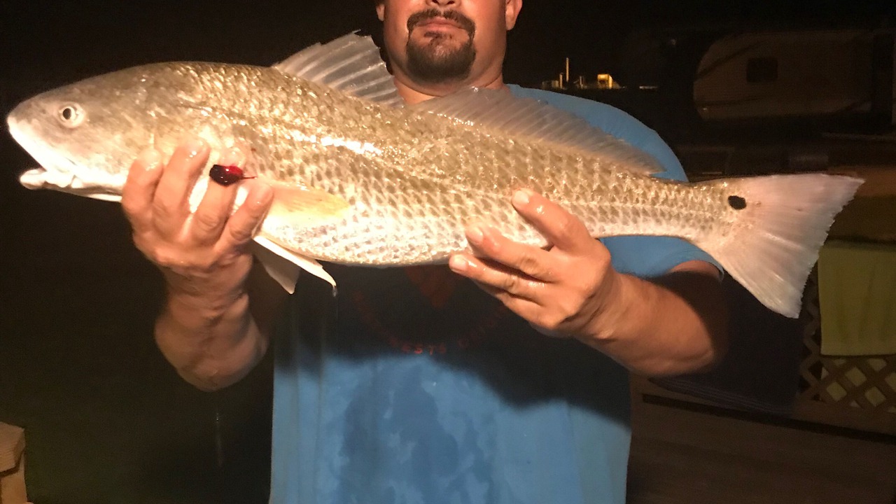 Photo of Others in Lamar