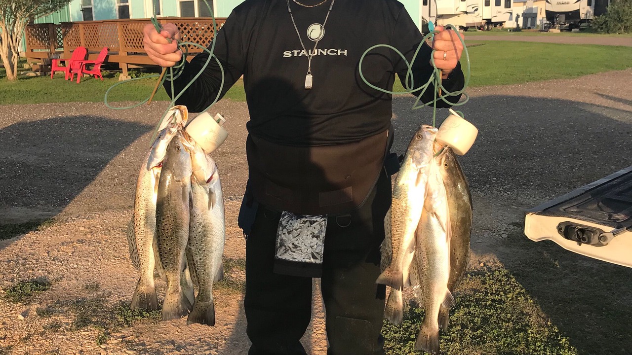 Photo of Others in Lamar