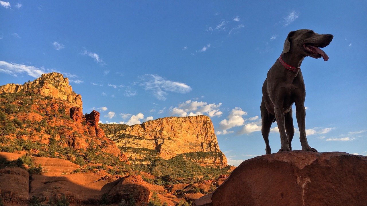 Photo of Others in Sedona