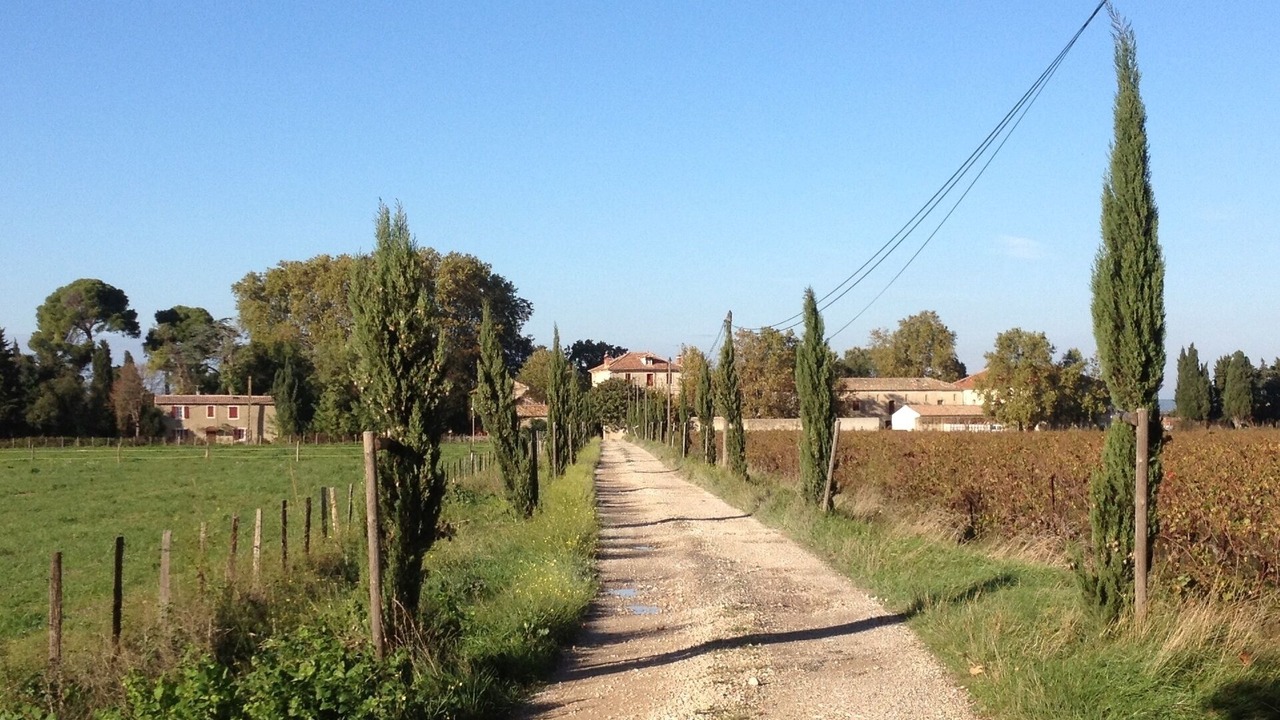 Photo of Outdoor in Aimargues