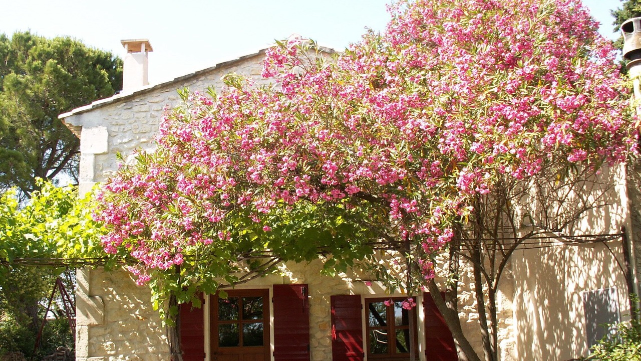 Photo of Outdoor in Tarascon