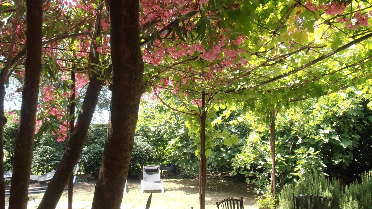 Photo of Outdoor in Tarascon