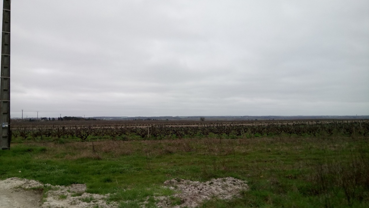 Photo of Outdoor in Amboise