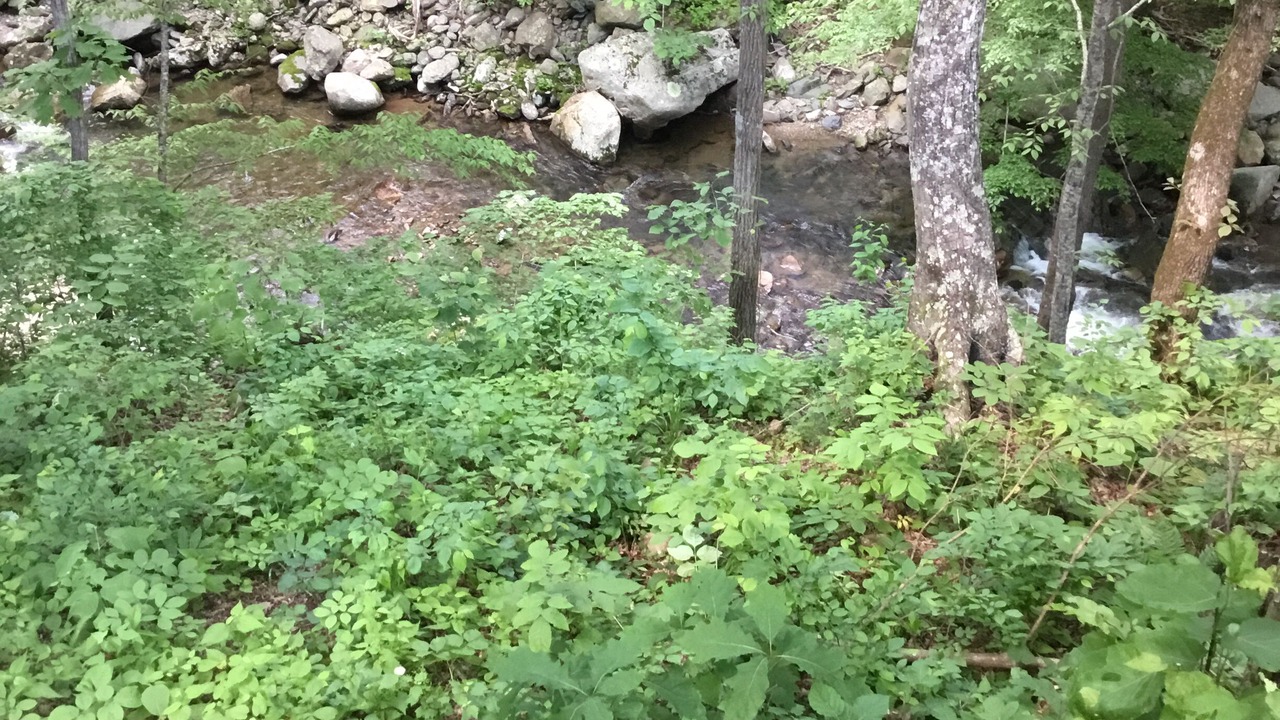 Photo of Outdoor in Tyro