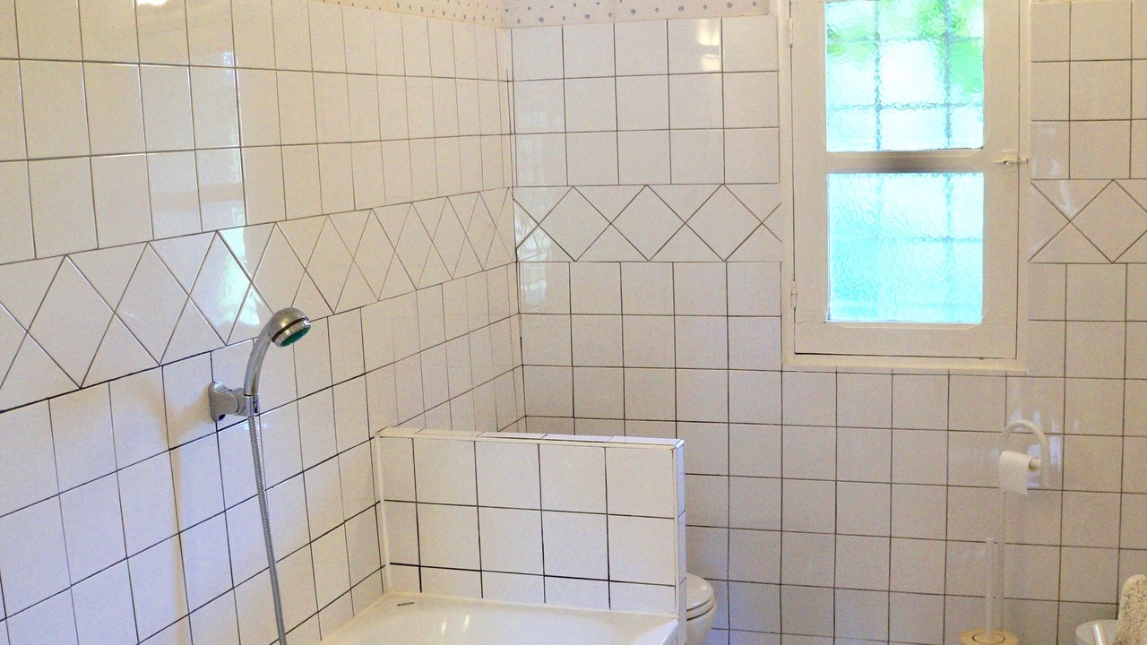 Photo of Bathroom in Genille