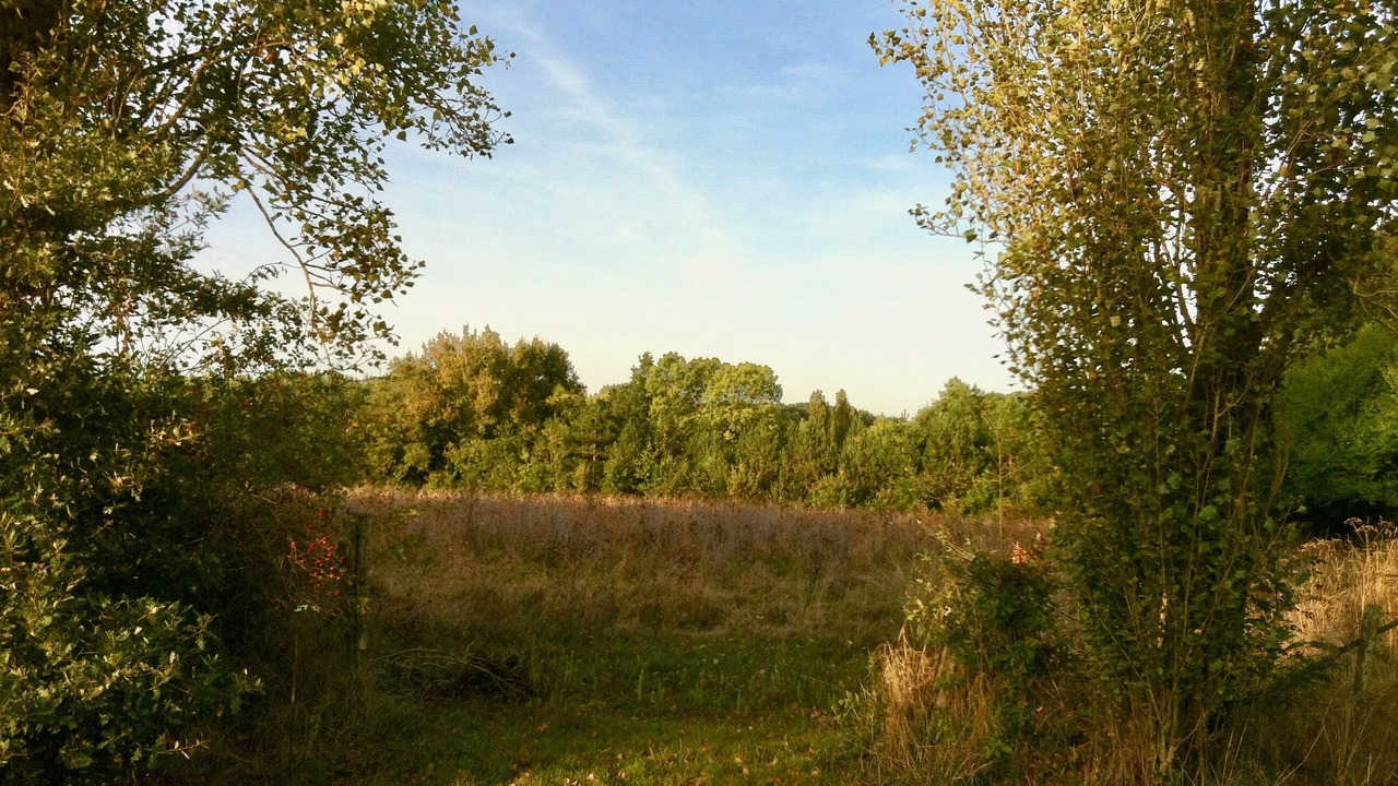 Photo of Outdoor in Genille