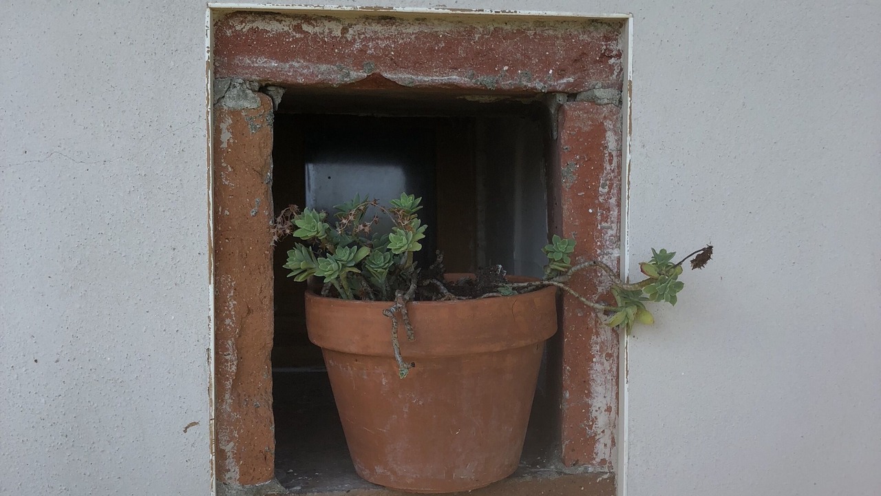 Photo of Outdoor in Mazeres