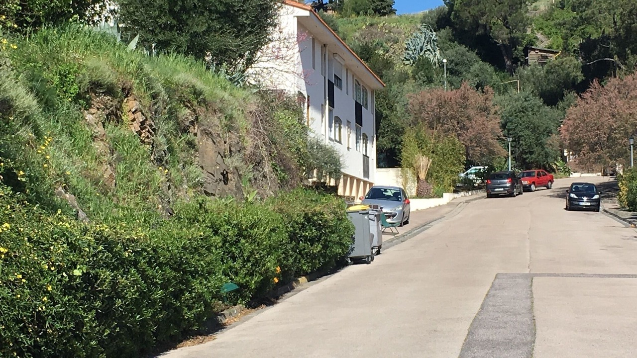 Photo of Others in Collioure