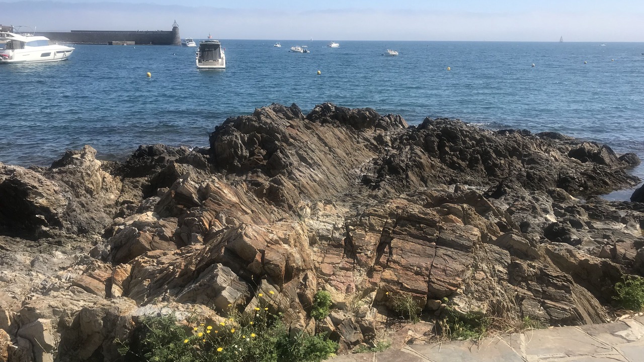 Photo of Others in Collioure