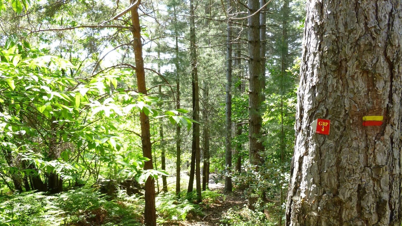 Photo of Outdoor in Aujac
